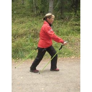 Nordic Walking Pro logo