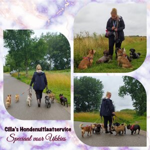 Cilla’s Hondenuitlaatservice logo