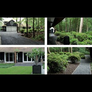 Maarten Woud Hovenier image 3