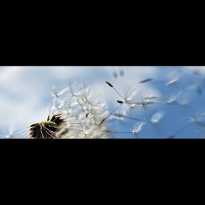 Met Andere Blik image 3