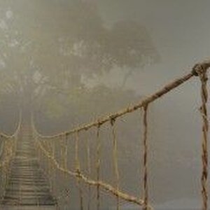 Mikpunt Counseling en Coaching image 4