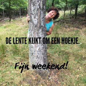 Inge Kamerling, HSP & Life coach image 2