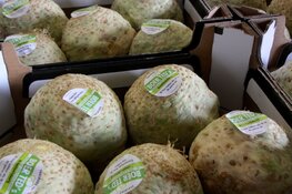 Wie maakte de lekkerste snert van Nederland? Snertevent en streekproductenmarkt bij Boer Ted in de Schermer