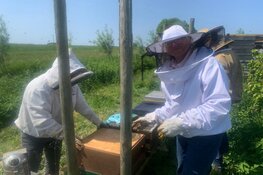 Op bezoek bij de Imkerschool/Imkerij Florensia op de natuurwijngaard van Oterleek!