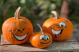 Creativiteit in de Kalebassenkas tijdens de Sfeer en inspiratiedagen