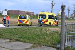 Wielrenner gewond na val op Westdijk