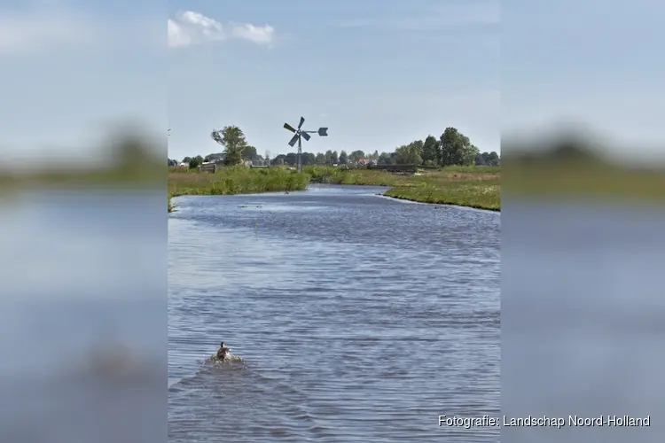 Vroege vogels in de Eilandspolder