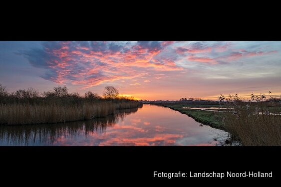 Vroege vogels in de Eilandspolder