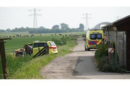 Persoon overleden na mogelijke aanval door stier
