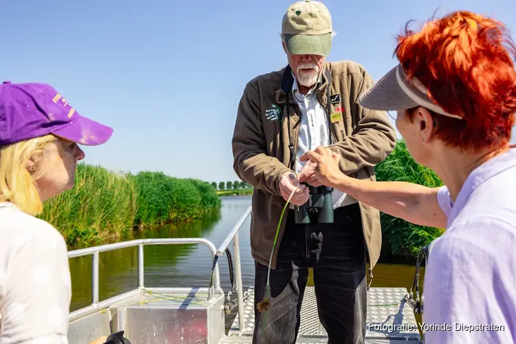 Vaar naar moerasland en trilveen in de Eilandspolder