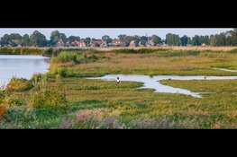 Vaarexcursie: moerasland en trilveen in de Eilandspolder