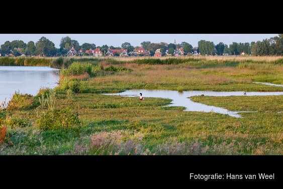 Vaarexcursie: moerasland en trilveen in de Eilandspolder