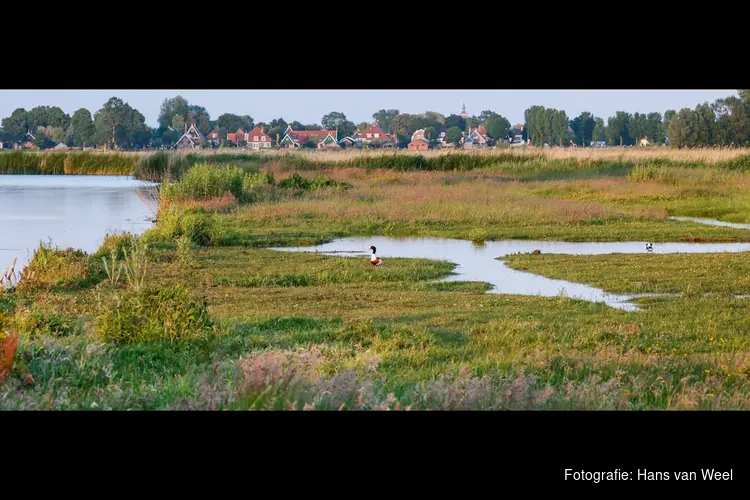 Vaarexcursie: moerasland en trilveen in de Eilandspolder