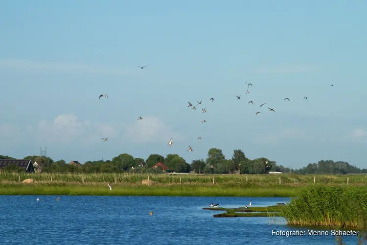 Bruikbare natuur in de Eilandspolder