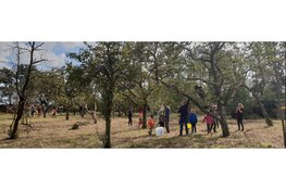 Kinderexcursie – appelmoes maken in de Eilandspolder