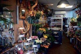 Fong-Leng Yau: Liefde voor het vak en plezier als drijfveer