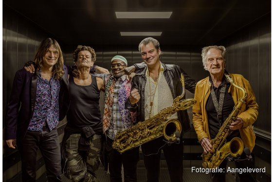 Hans Dulfer viert jubileum in De Rijp