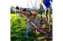Bomenplantdag voor jong en oud in voedselbos Heer Ikigai op 15 november, met pompoensoep en warme chai