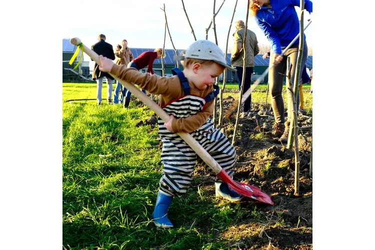Bomenplantdag voor jong en oud in voedselbos Heer Ikigai op 15 november, met pompoensoep en warme chai