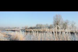 Wintervaartocht door de Eilandspolder