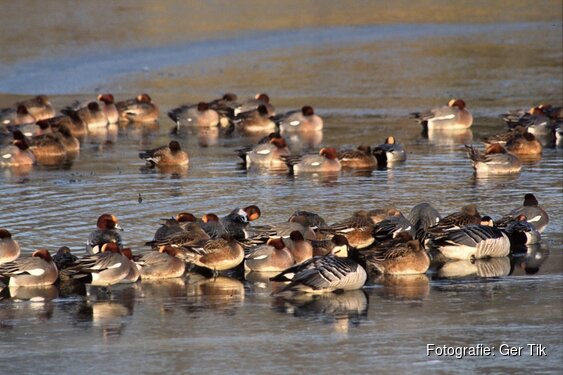 Wintervaartocht door de Eilandspolder