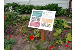 €45.000 voor groene vrijwilligersprojecten