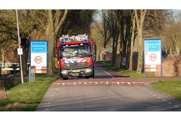 Brandweer redt te water geraakt schaap in Zuidschermer