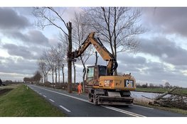 Laatste 80 populieren langs Westdijk (N244) in Zuidschermer verwijderd voor verkeersveiligheid