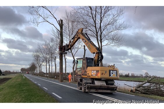 Laatste 80 populieren langs Westdijk (N244) in Zuidschermer verwijderd voor verkeersveiligheid