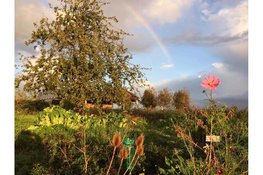 NH biedt inzicht en belicht zorg in Autismeweek 2026