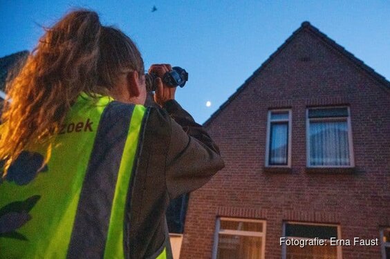 Gemeente Alkmaar brengt beschermde vogels en vleermuizen in kaart