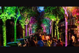 De stad liep, feestte en danste tijdens Alkmaar City Run by night