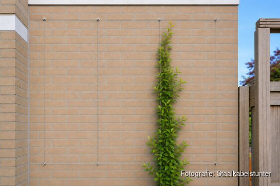 Maak je tuin zomerproof met slimme oplossingen van Staalkabelstunter