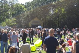 Komende zondag Vrienden van De Hout Live