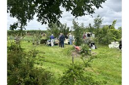 Indian Summer bij voedselbos en pluktuin Heer Ikigai help mee of leer meer over fermenteren en wildplukken