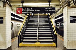 ‘Schermerhorn, óók een familie’, Een Westfriese familie in Nederland, Amerika en Rusland