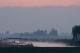 Avondvaartocht, op zoek naar vleermuizen in Eilandspolder