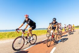 De Westfriese zomerrit komt er aan