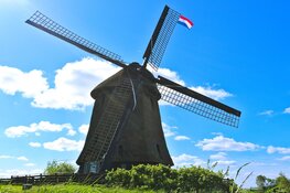 Schermermolens vieren de vrijheid met rouw en vreugdestand