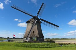 Schermermolens vieren de vrijheid met rouw en vreugdestand