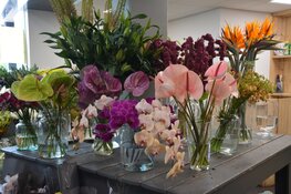 Kies voor een bloemenabonnement bij Bloembinderij Gebr. Jong, dé bloemist in Alkmaar en Heerhugowaard