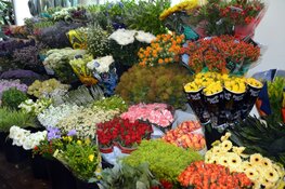 Kies voor een bloemenabonnement bij Bloembinderij Gebr. Jong, dé bloemist in Alkmaar en Heerhugowaard