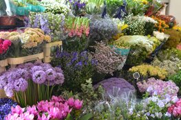 Kies voor een bloemenabonnement bij Bloembinderij Gebr. Jong, dé bloemist in Alkmaar en Heerhugowaard