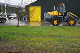 Vogelgriep bij kippenboer Grootschermer