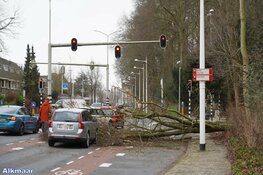 Fotoalbum: Noord-Holland in de greep van storm Eunice