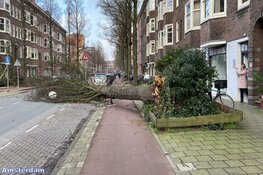 Fotoalbum: Noord-Holland in de greep van storm Eunice