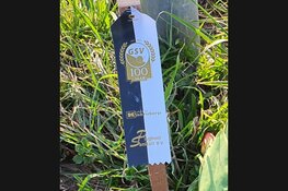 Fietser (16) overleden na ongeval op kruising in Zuidschermer