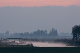 Vroege vogels, vaarexcursie door Eilandspolder