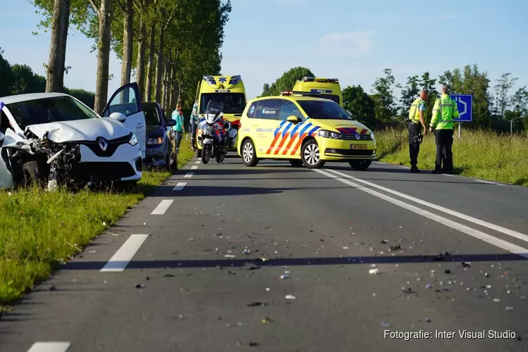 Meerdere gewonden na ongeval door overstekende eendjes op N244