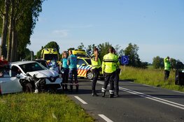 Meerdere gewonden na ongeval door overstekende eendjes op N244